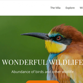 Arijaana Villa homepage